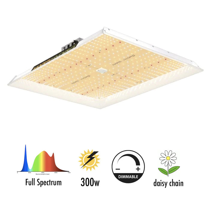 Mars Hydro Loft LED Grow Tent Kit TS3000