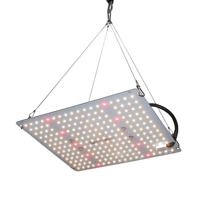 Best Value LED Grow Light