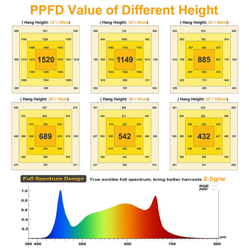 Phlizon PPFD Chart
