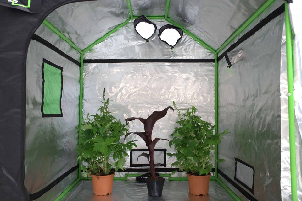 LED Grow Light - Grow Tent for Attic