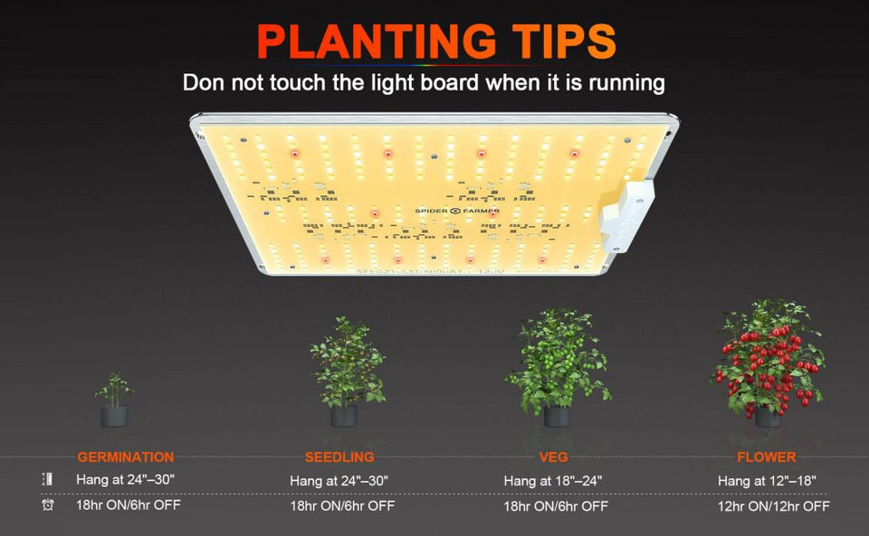Spider Farmer SF1000D LED Grow Light Planting Tips