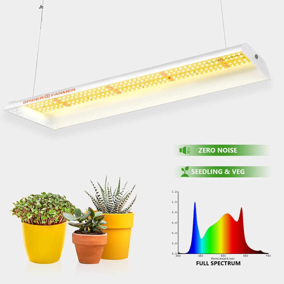 Spider Farmer SF300 LED Grow Light