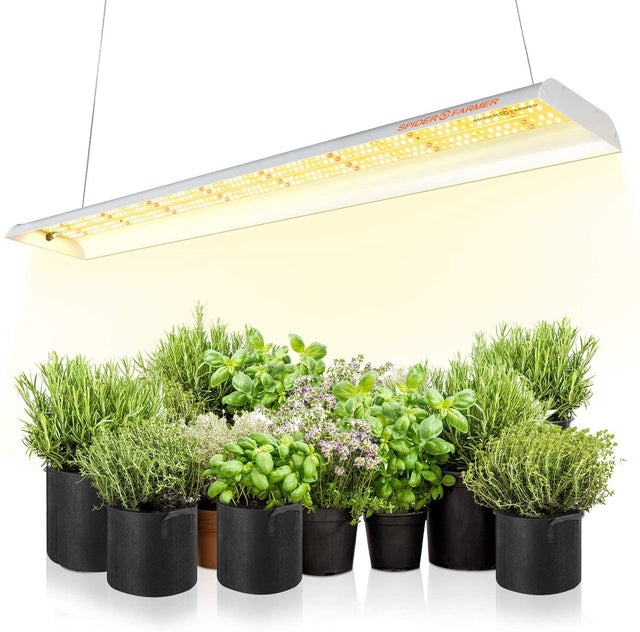 Spider Farmer SF600 LED Grow Light