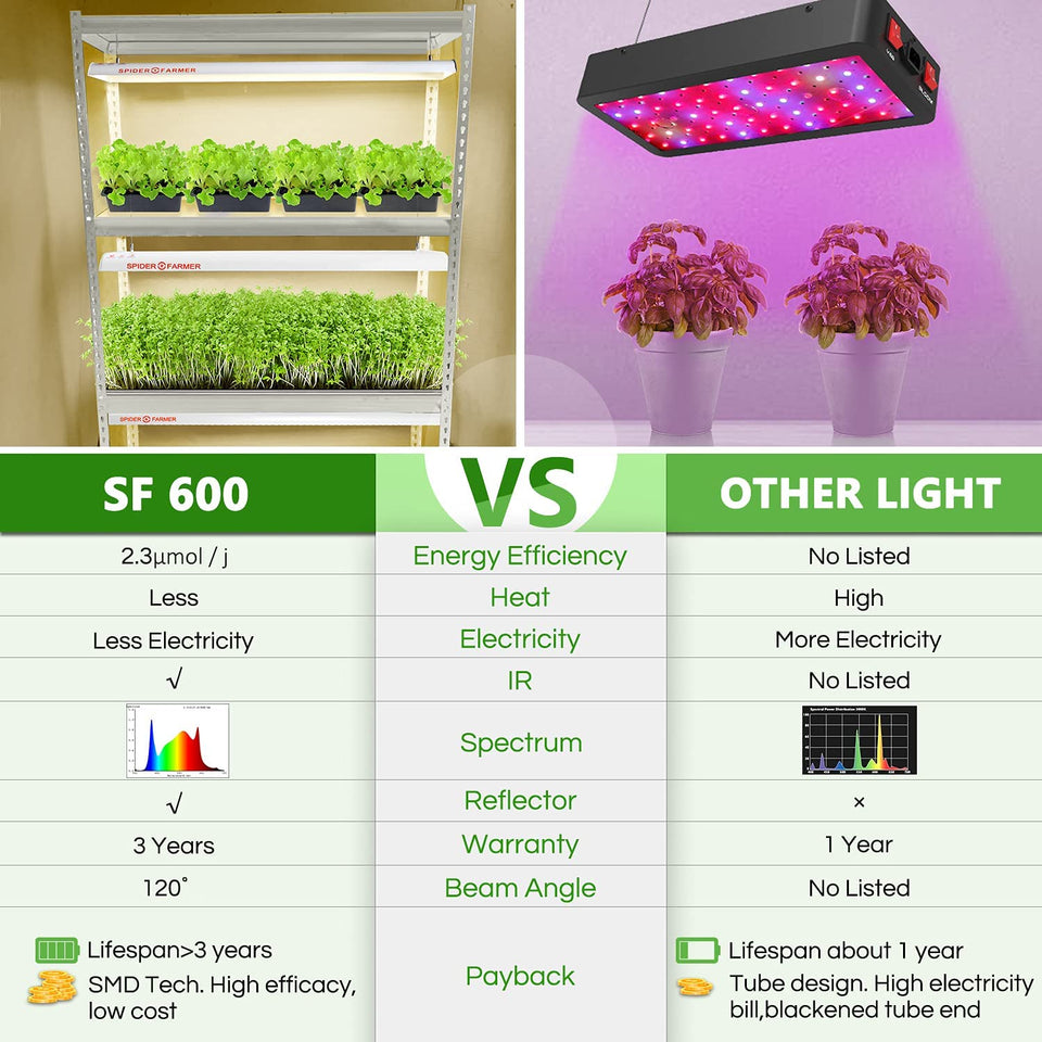 Spider Farmer SF600 LED Grow Light Vs Unbranded LED Grow Lights