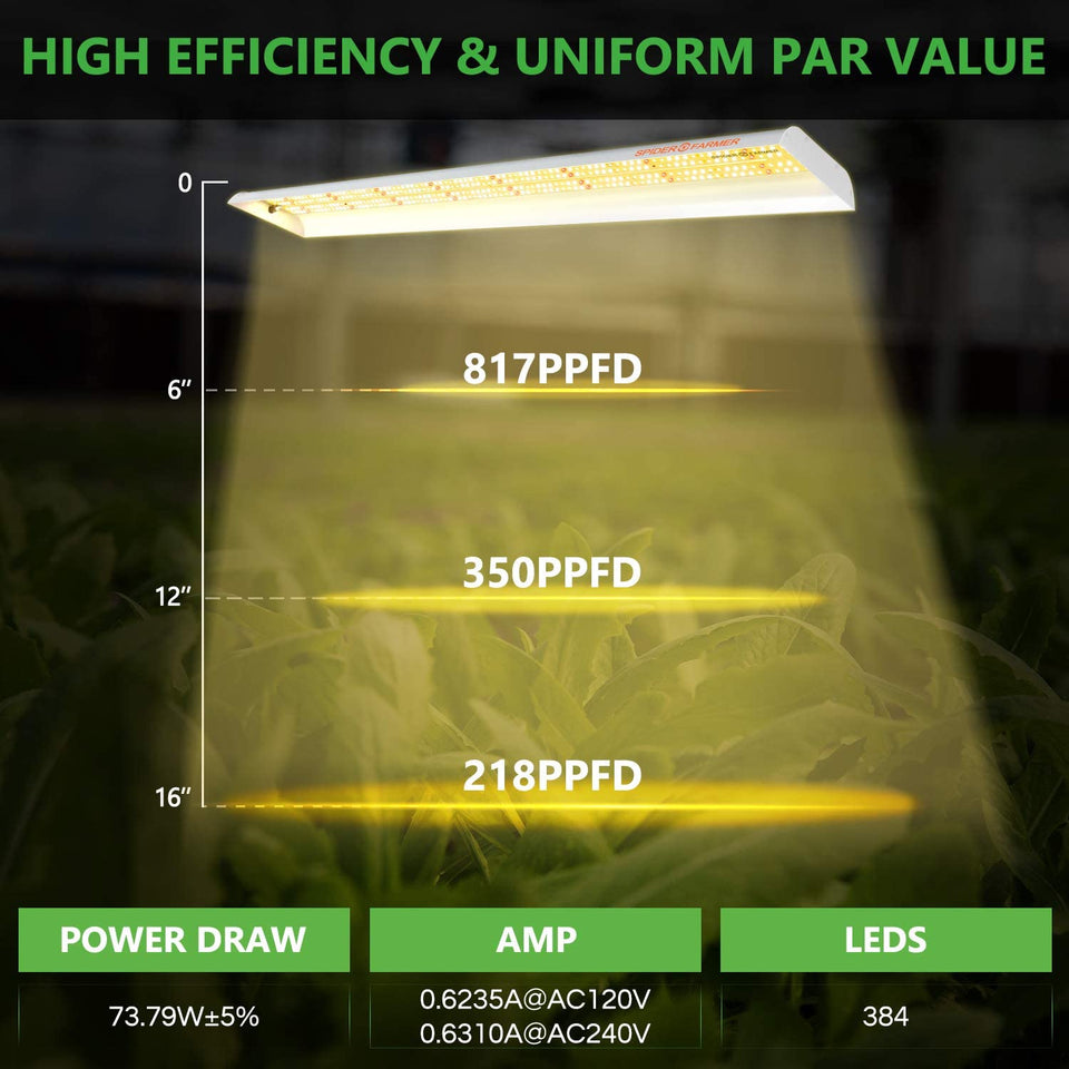 Spider Farmer SF600 LED Grow Light PAR Value 