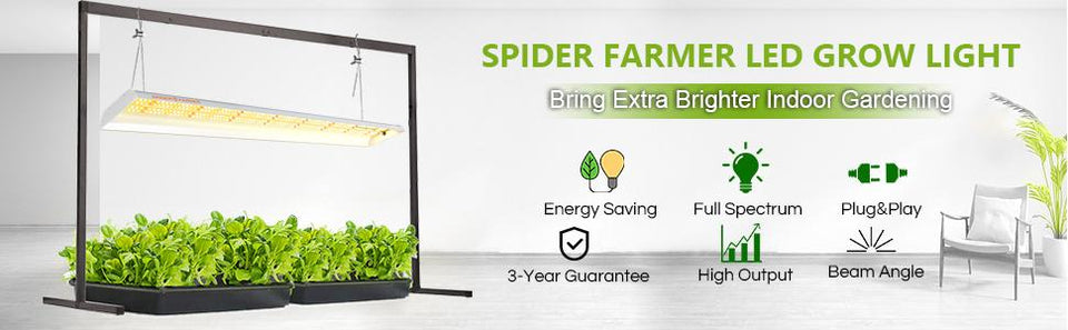 Spider Farmer SF600 LED Grow Light Clones