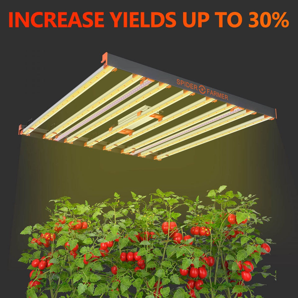 Spider Farmer UV Supplemental LED Light Bar Increased Yields